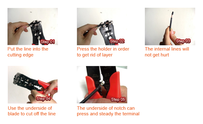 ws-0260c_pic2.jpg